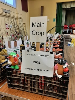 A small photo of Potato Day
