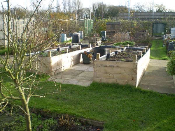 Picture of the finished beds, from the front